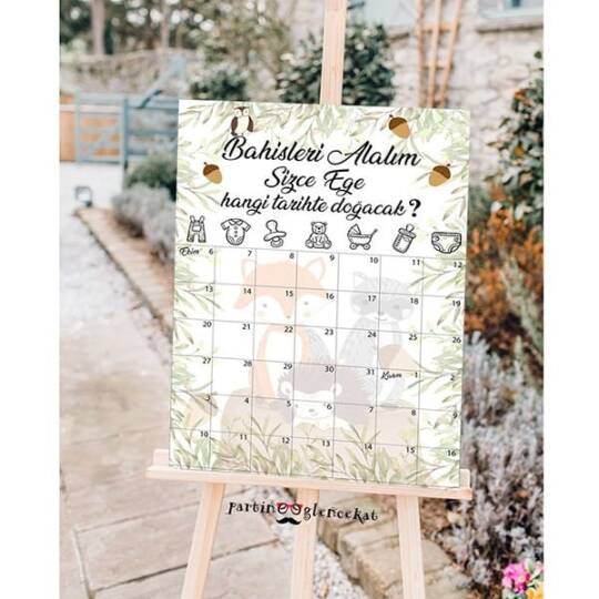 Baby Shower Tahmin Panosu