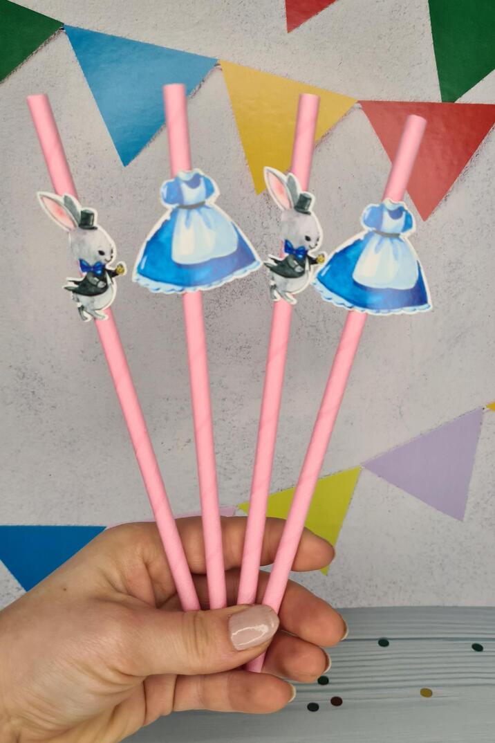 Alice in Wonderland Konsept Pipet Süsleri 10lu Lüks Pipet Paketi - 2