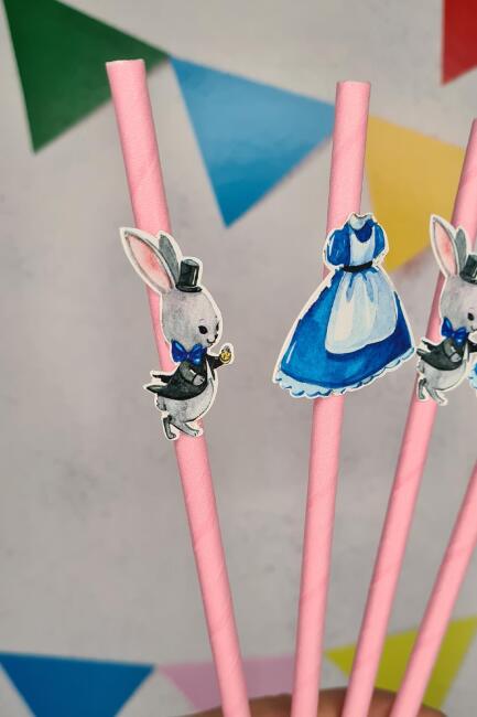 Alice in Wonderland Konsept Pipet Süsleri 10lu Lüks Pipet Paketi - 3