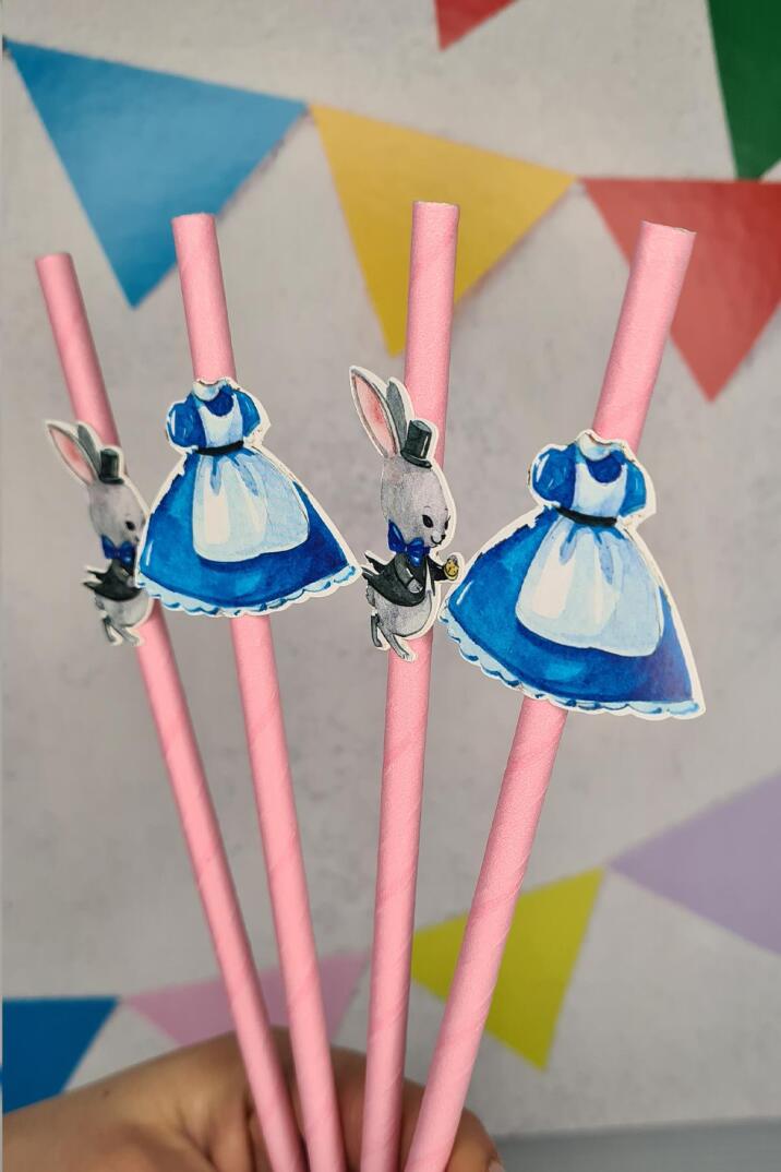 Alice in Wonderland Konsept Pipet Süsleri 10lu Lüks Pipet Paketi - 4