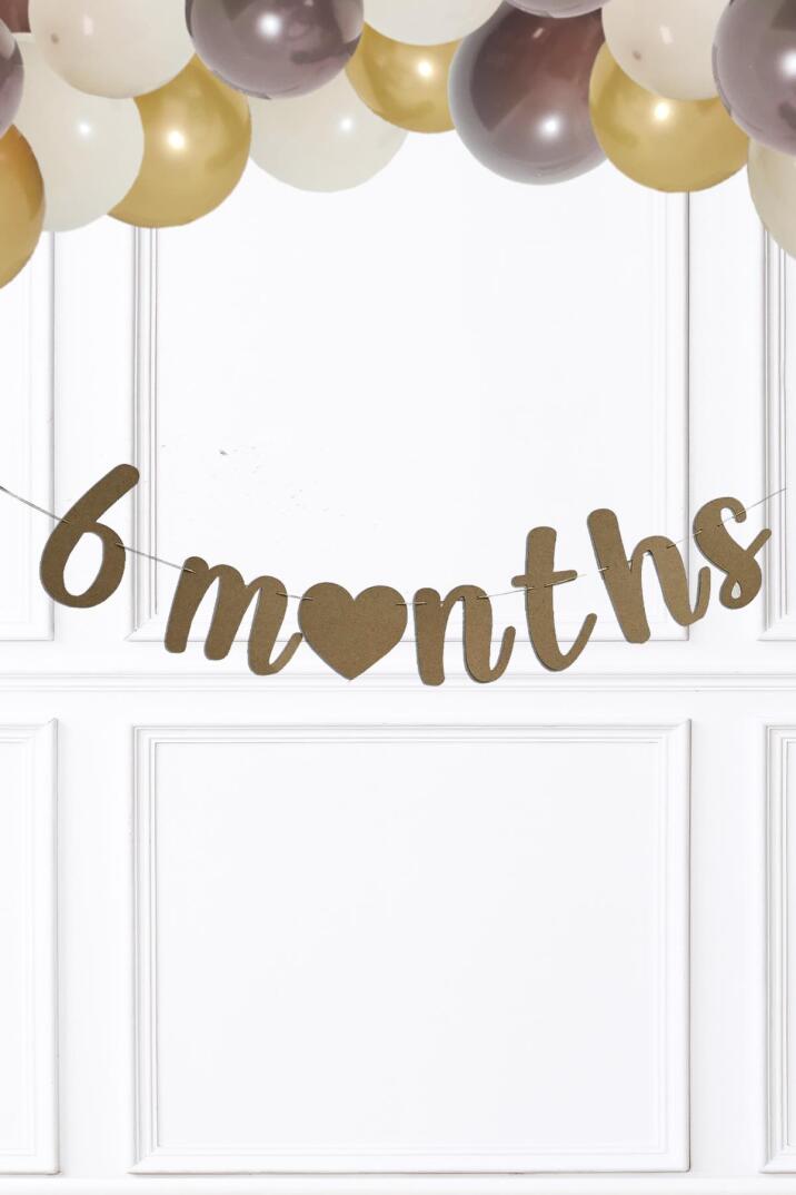 Ayı Konsept 6 Months Banner Yarım Yaş Partisi 6 Months Yazılı Ayıcıklı 2li Banner Süs - 4