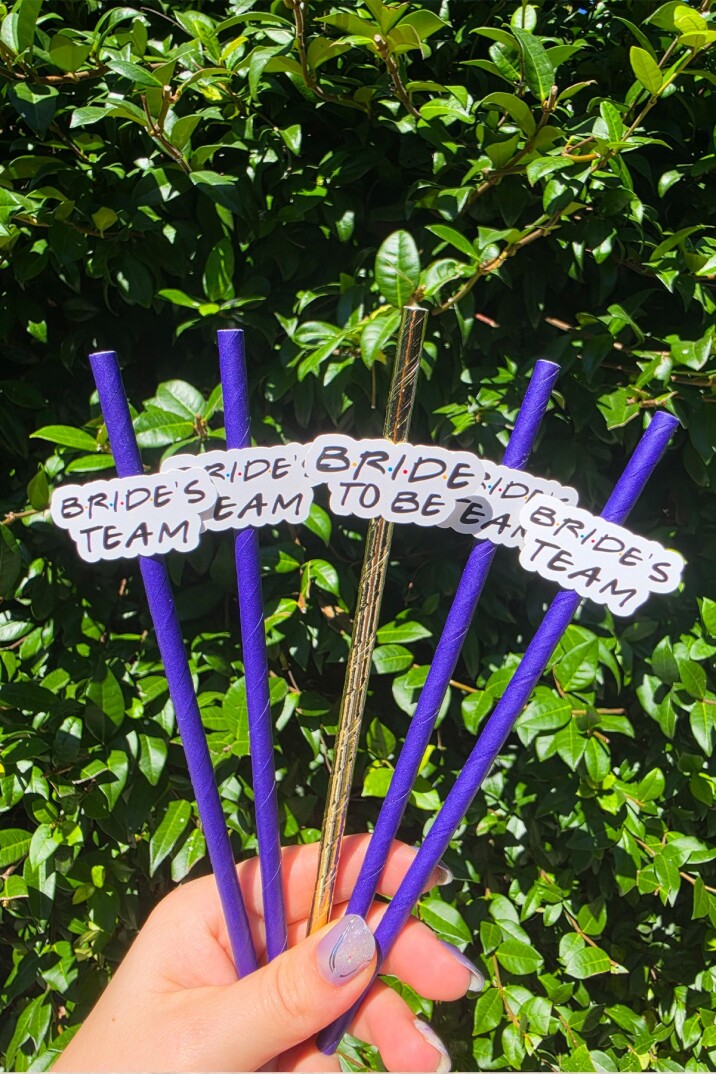 Bride Pipet Seti Friends Konsept Bekarlığa Veda Bride Party Süslü Pipet Takımı 5 li - 1