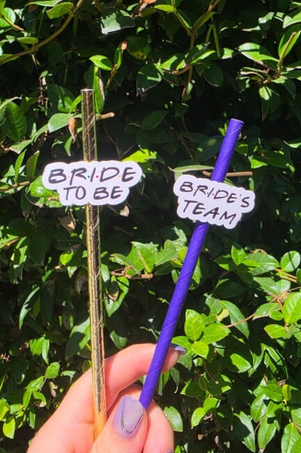 Bride Pipet Seti Friends Konsept Bekarlığa Veda Bride Party Süslü Pipet Takımı 5 li - 2