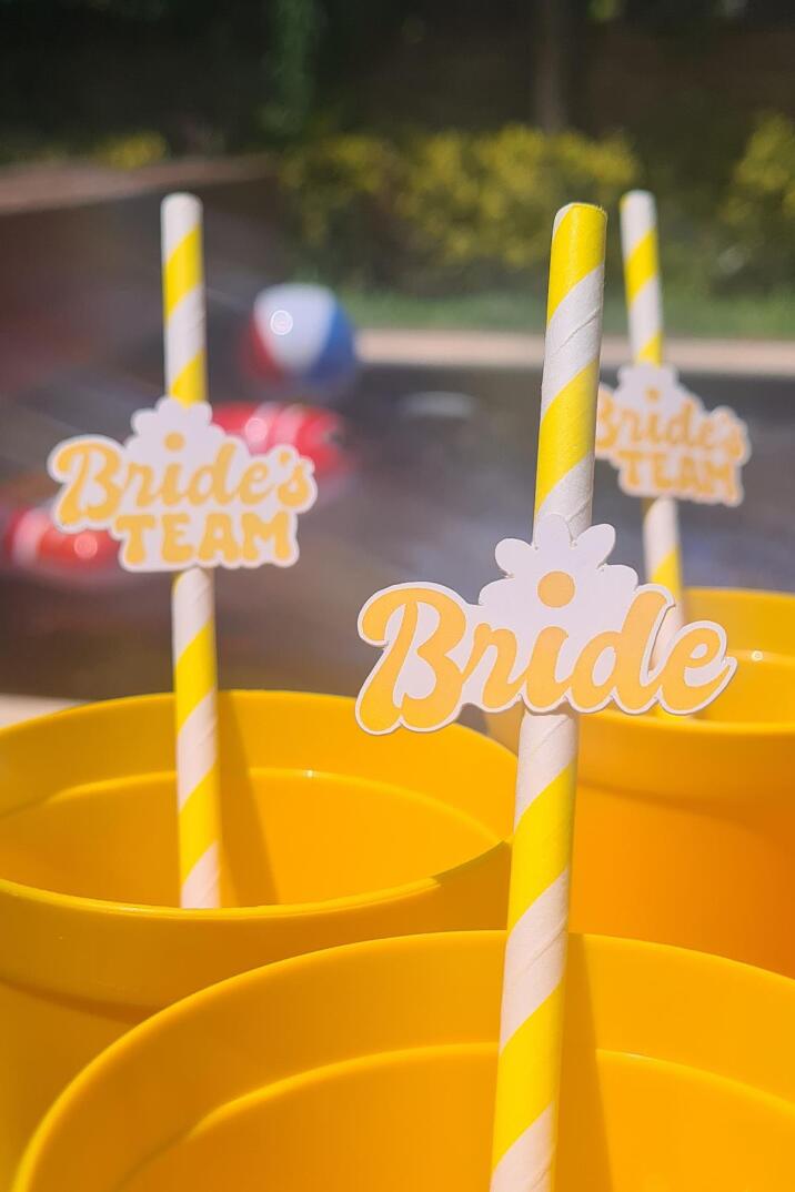 Bride Pipet Seti Papatya Konsept Bekarlığa Veda Bride Party Süslü Pipet Takımı 5 li - 1
