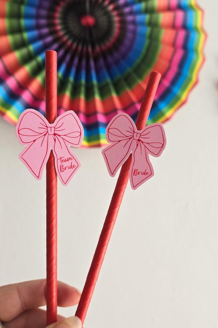 Bride Pipet Seti Pembe Kırmızı Fiyonk Konsept Bekarlığa Veda Bride Party Süslü Pipet Takımı 5 li - 1