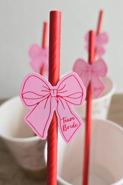Bride Pipet Seti Pembe Kırmızı Fiyonk Konsept Bekarlığa Veda Bride Party Süslü Pipet Takımı 5 li - 3