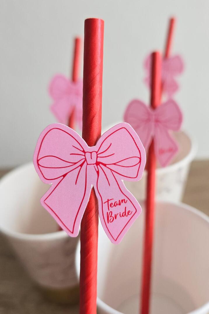 Bride Pipet Seti Pembe Kırmızı Fiyonk Konsept Bekarlığa Veda Bride Party Süslü Pipet Takımı 5 li - 3