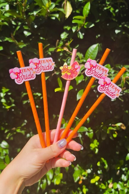 Bride Pipet Seti Sunset Tema Bekarlığa Veda Bride Parti Süslü Pipet Takımı 5 li