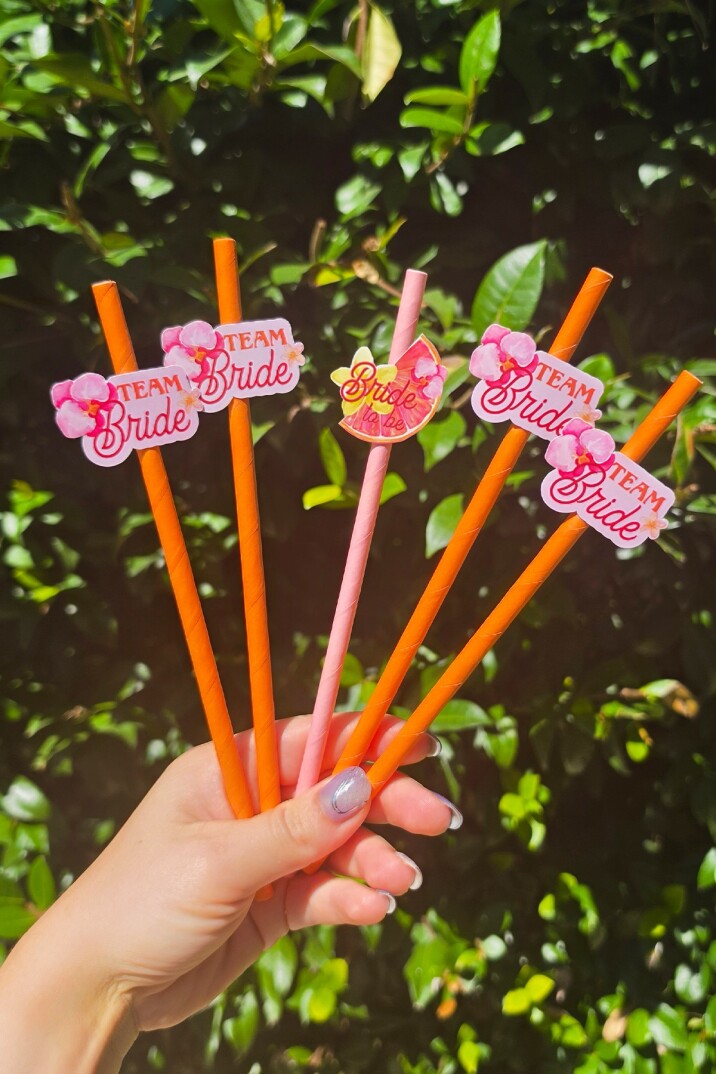 Bride Pipet Seti Sunset Tema Bekarlığa Veda Bride Parti Süslü Pipet Takımı 5 li - 1