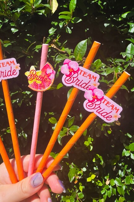 Bride Pipet Seti Sunset Tema Bekarlığa Veda Bride Parti Süslü Pipet Takımı 5 li - 2