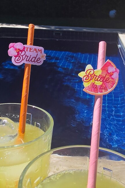 Bride Pipet Seti Sunset Tema Bekarlığa Veda Bride Parti Süslü Pipet Takımı 5 li - 3