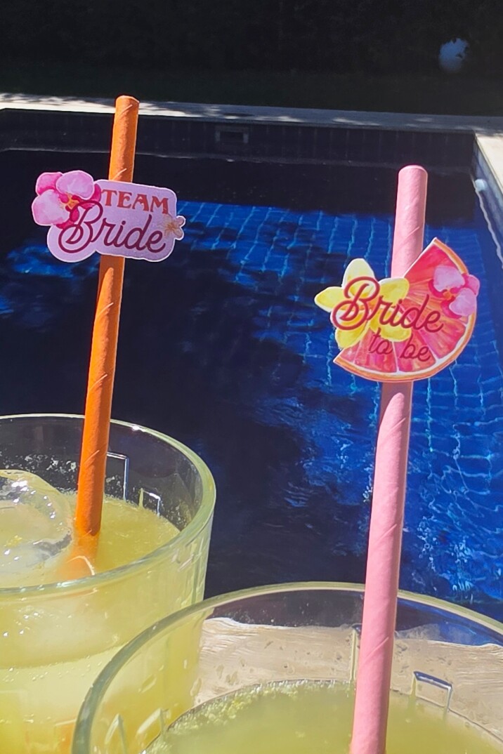 Bride Pipet Seti Sunset Tema Bekarlığa Veda Bride Parti Süslü Pipet Takımı 5 li - 3