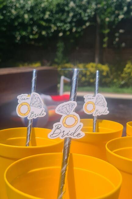Bride Pipet Seti Tektaş Konsept Bekarlığa Veda Bride Party Süslü Pipet Takımı 5 li - 2