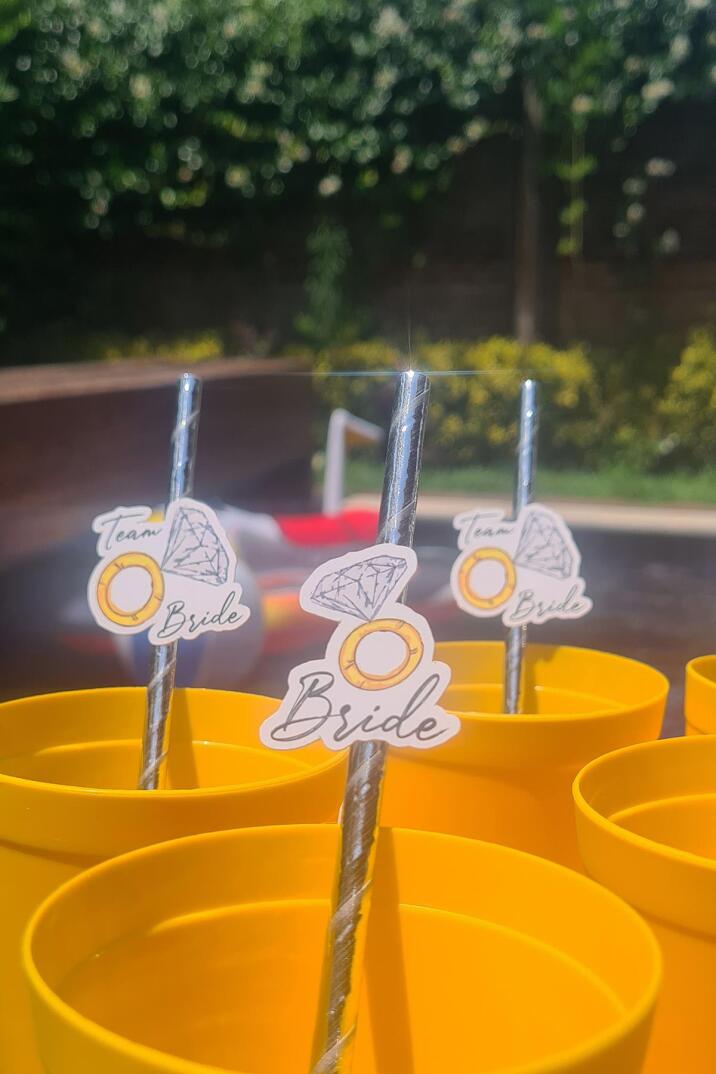Bride Pipet Seti Tektaş Konsept Bekarlığa Veda Bride Party Süslü Pipet Takımı 5 li - 2