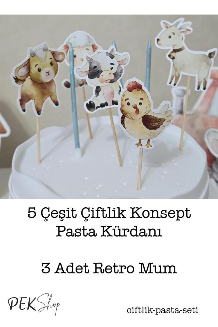 Çiftlik Hayvanları Konsept Pasta Süsleri Seti Pasta Mumu ve Pasta Kürdanları Süsleme Seti 8 Parça - 2
