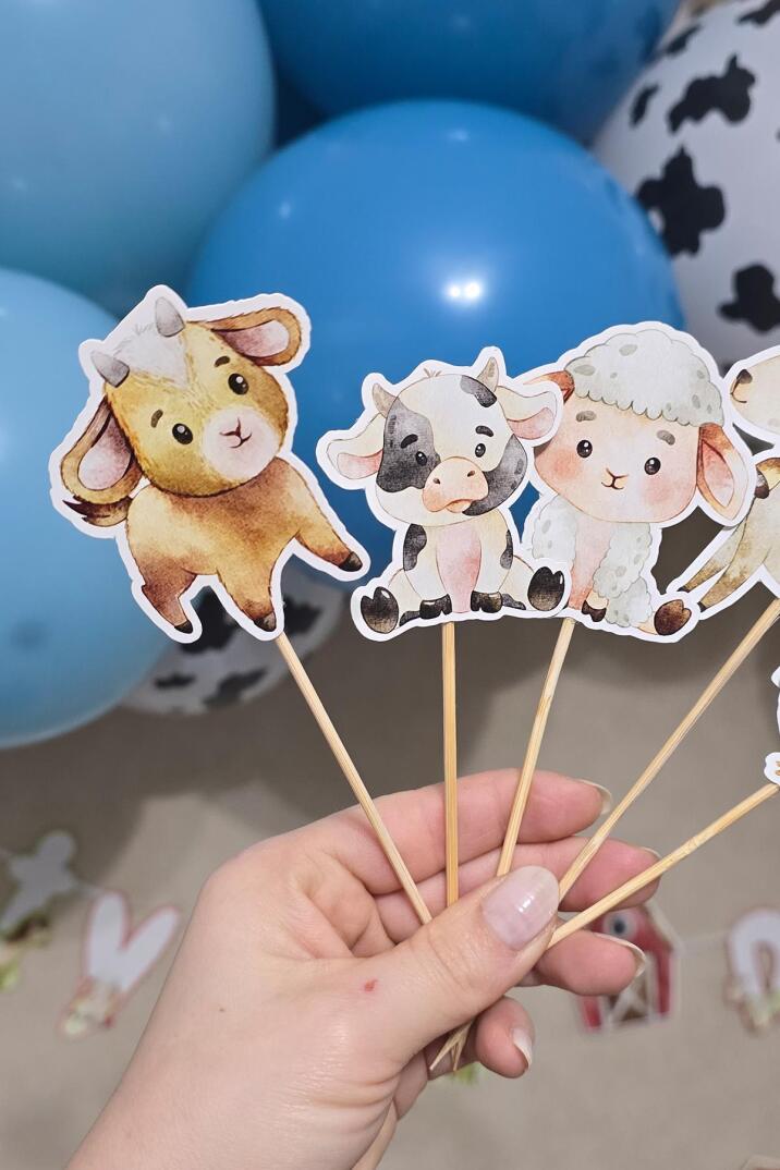 Çiftlik Tema Kürdan Süsleri Cupcake Süsleri Lüks Büyük Boy 10lu Paket - 3