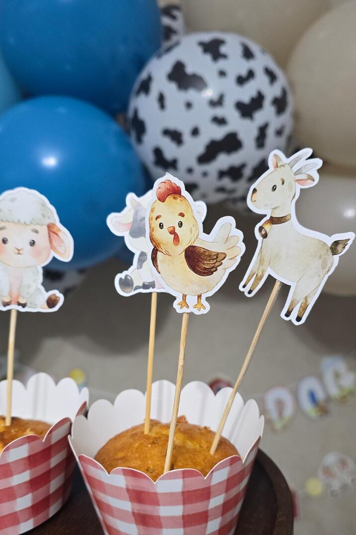 Çiftlik Tema Kürdan Süsleri Cupcake Süsleri Lüks Büyük Boy 10lu Paket - 5