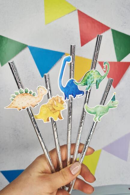 Dinozor Konsept Pipet Süsleri 10lu Lüks Pipet Paketi - 1