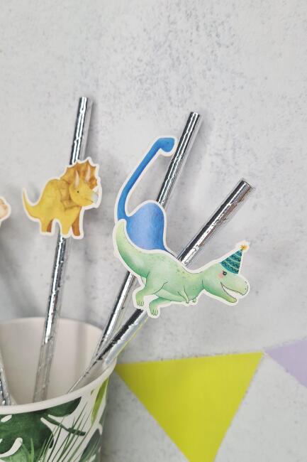 Dinozor Konsept Pipet Süsleri 10lu Lüks Pipet Paketi - 2
