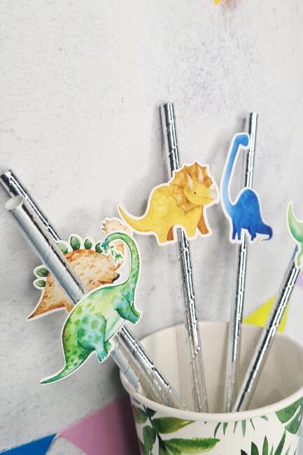 Dinozor Konsept Pipet Süsleri 10lu Lüks Pipet Paketi - 3