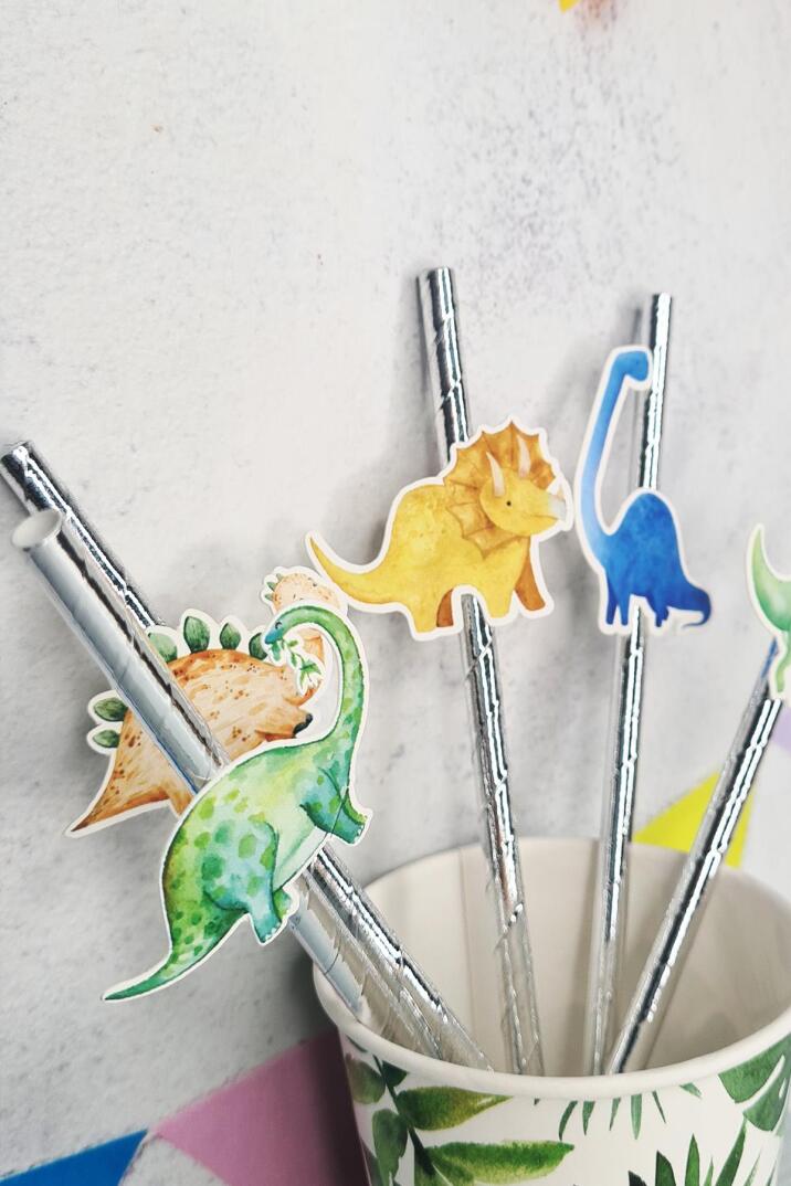 Dinozor Konsept Pipet Süsleri 10lu Lüks Pipet Paketi - 3