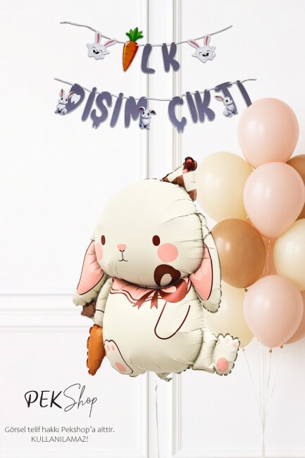 Diş Buğdayı Parti Süsleme Seti Havuçlu Tavşan Balonlu Bannerlı Set 259 - 1