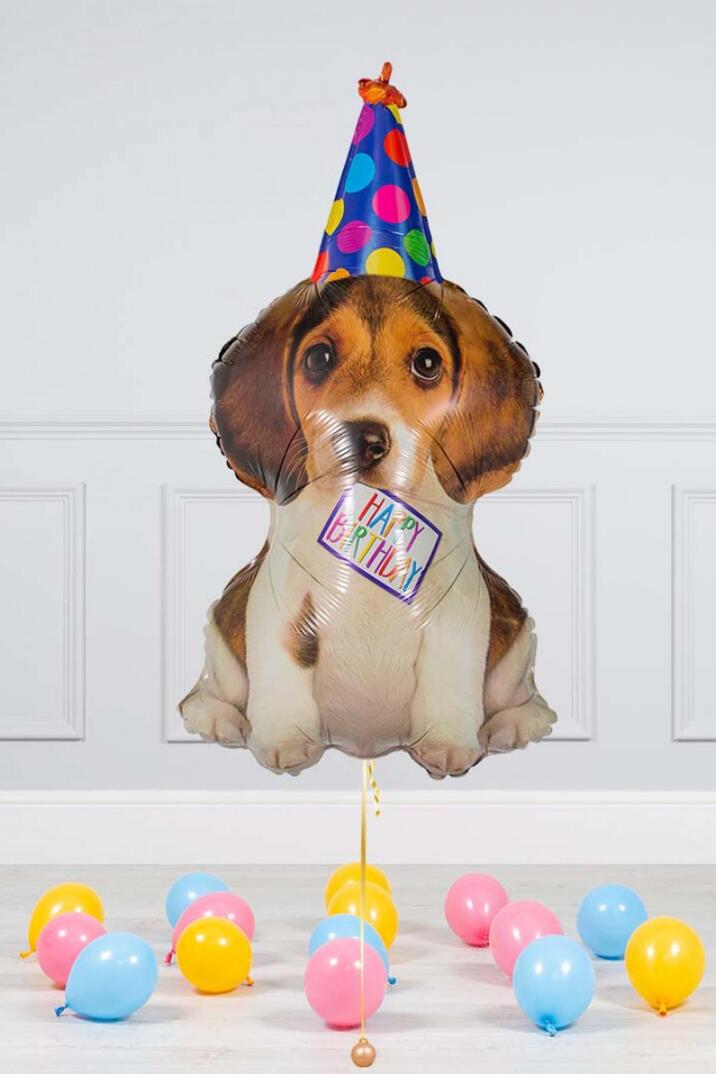 Doğum Günü Köpeği Folyo Balon Birthday Puppy 70cm - 2