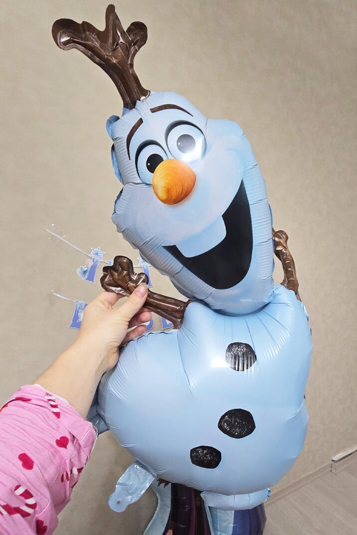 Frozen Elsa Karlar Ülkesi Tema Folyo Balon Seti 5li Set Frozen Elsa Temalı Balonlar - 3
