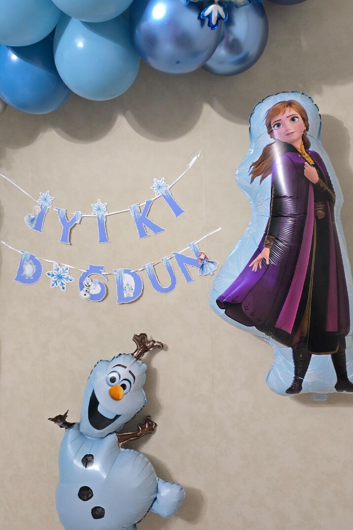 Frozen Elsa Tema Doğum Günü Balon Süsleme Seti Karlar Ülkesi Tema Doğum Günü Süsleri Büyük Set Paketi - 4