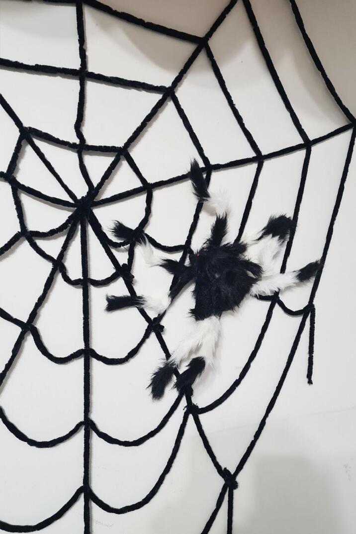 Halloween Örümcek Ağı ve Örümcek Seti 1 Adet 150cm Örümcek Ağı 1 Adet 50 Cm Gerçekçi Örümcek - 2