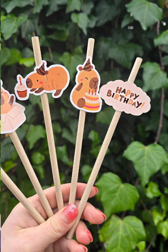 Kapibara Pipet Süsleri 10lu Capybara Konsept Lüks Pipet Paketi - 1