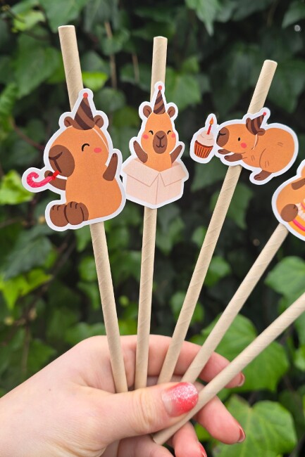 Kapibara Pipet Süsleri 10lu Capybara Konsept Lüks Pipet Paketi - 2