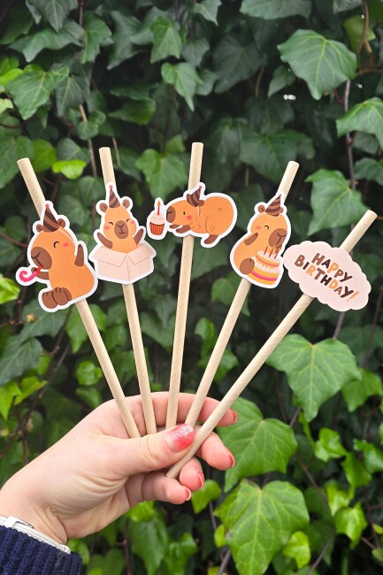 Kapibara Pipet Süsleri 10lu Capybara Konsept Lüks Pipet Paketi - 3