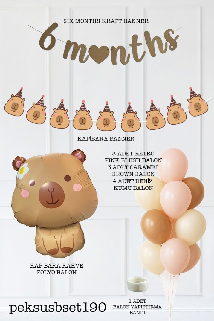Kapibara Tema 6 Aylık Süsleri Seti 6 Months Banner ve Balon Seti - 2