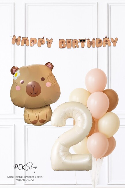Kapibara Tema Doğum Günü Balon ve Banner Süsleme Seti Capybara Konsept - 3