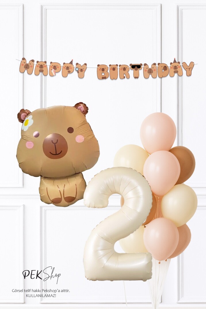 Kapibara Tema Doğum Günü Balon ve Banner Süsleme Seti Capybara Konsept - 3