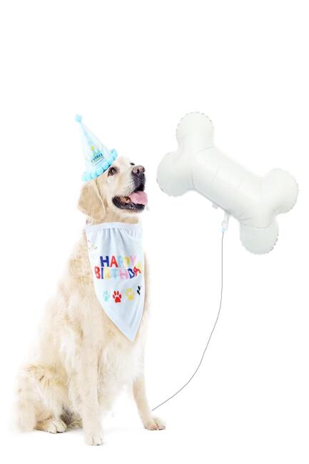 Kemik Folyo Balon Kemik Şekilli Balon Beyaz - 2