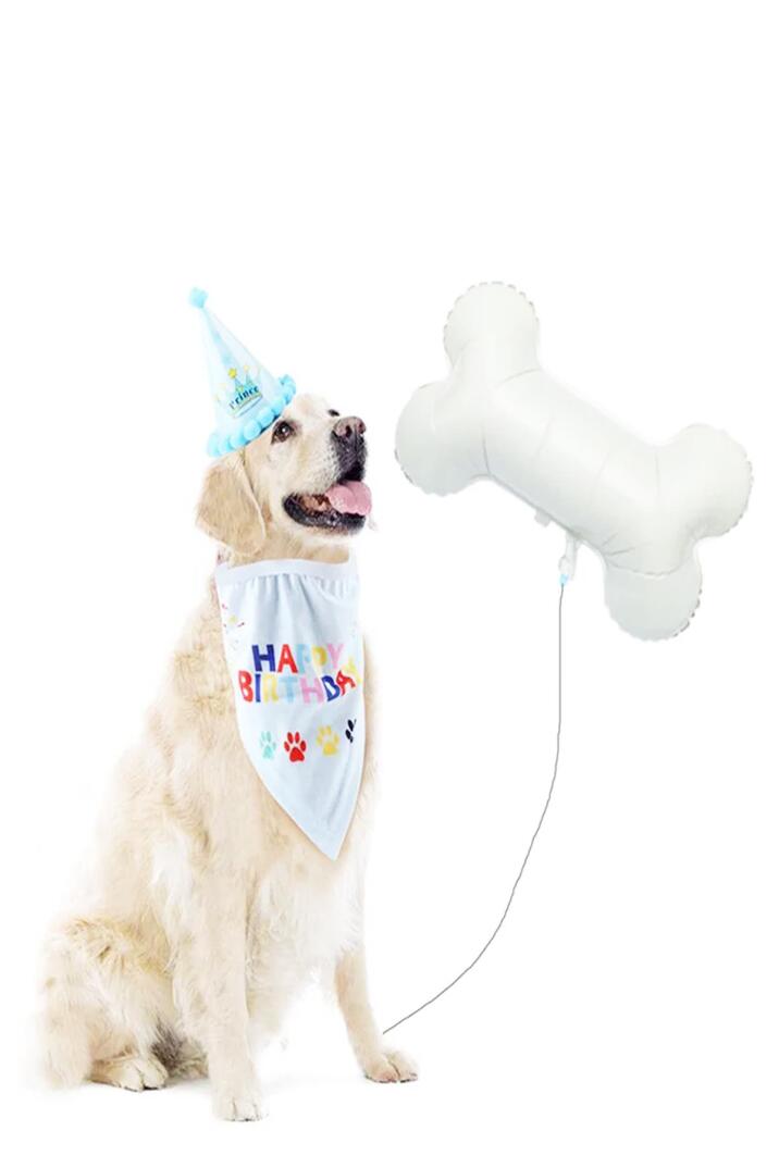 Kemik Folyo Balon Kemik Şekilli Balon Beyaz - 2