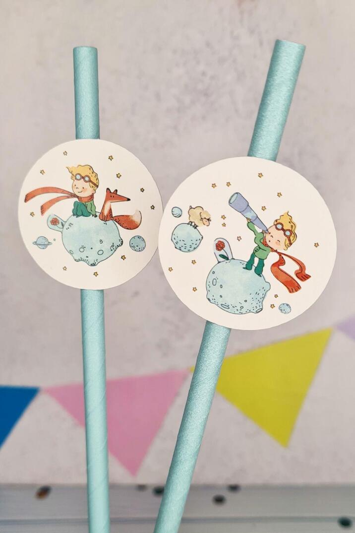 Küçük Prens Konsept Pipet Süsleri 10lu Lüks Pipet Paketi - 3