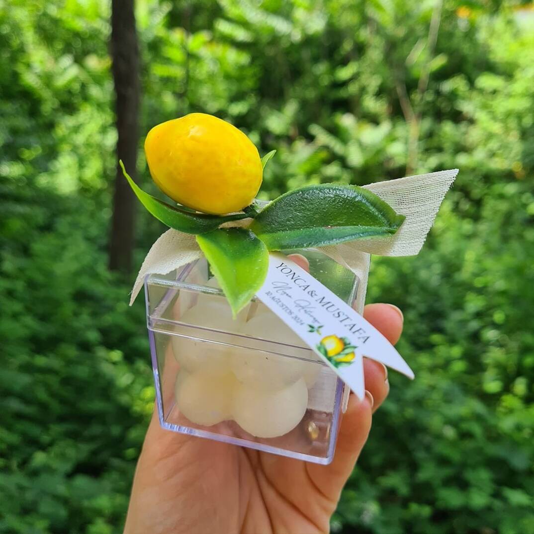 Limon Bahçesi Konsept Mika Kutuda Çiçek Süslemeli Bubble Mum Hediyelik - 1