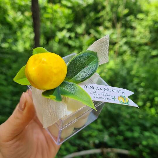 Limon Bahçesi Konsept Mika Kutuda Çiçek Süslemeli Bubble Mum Hediyelik (1)