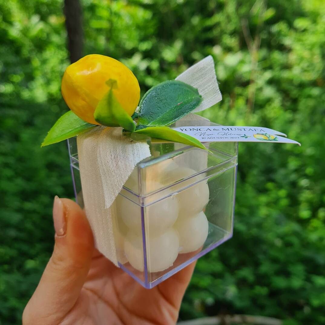 Limon Bahçesi Konsept Mika Kutuda Çiçek Süslemeli Bubble Mum Hediyelik - 3