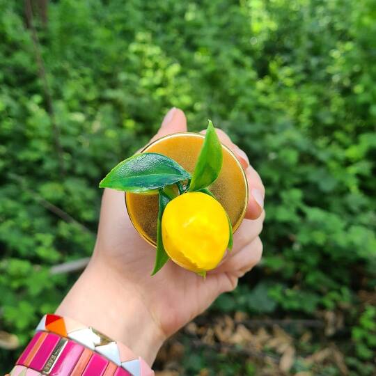 Limon Bahçesi Yapay Çiçek Süslemeli Konsept Mum Hediyelik - 4