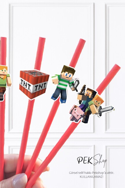 Minecraft Pipet Süsleri 10lu Minecraft Konsept Lüks Pipet Paketi - 2