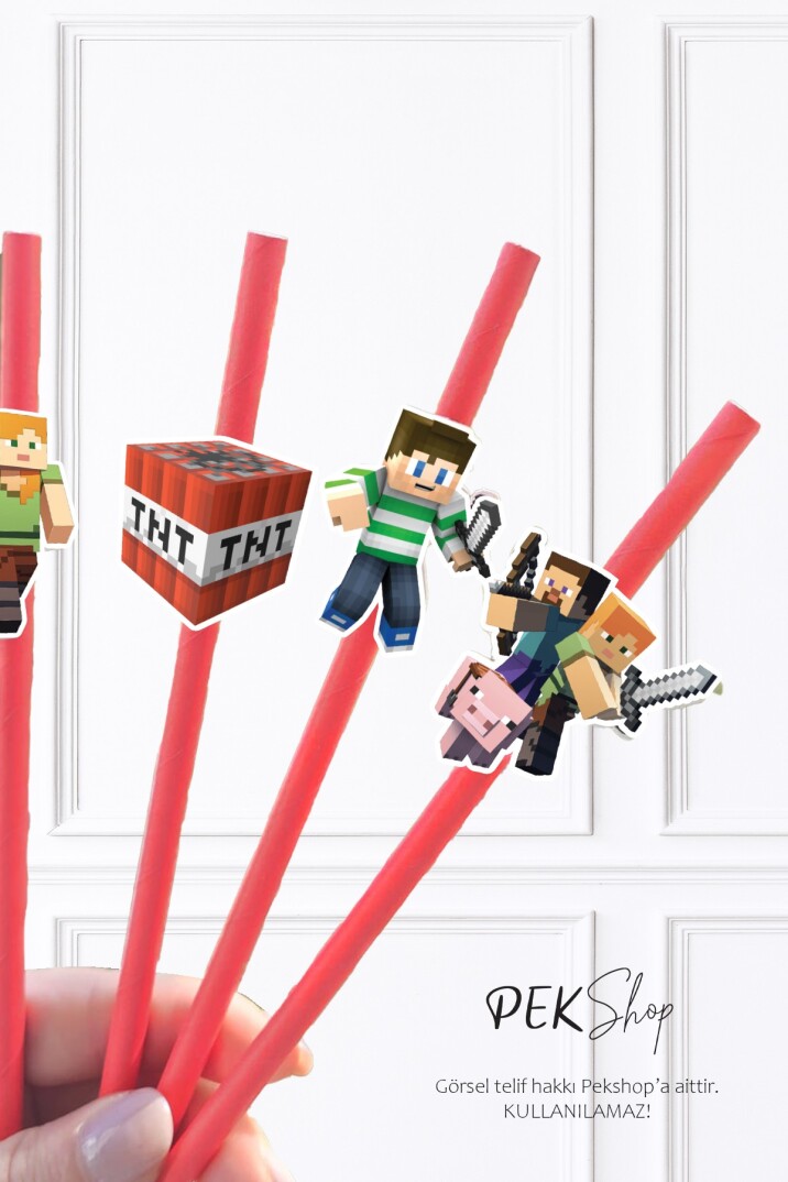 Minecraft Pipet Süsleri 10lu Minecraft Konsept Lüks Pipet Paketi - 2