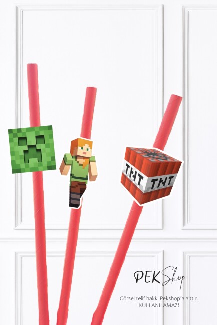 Minecraft Pipet Süsleri 10lu Minecraft Konsept Lüks Pipet Paketi - 3