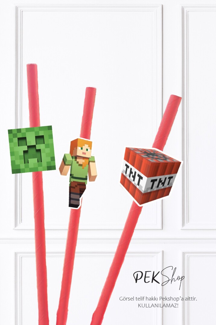 Minecraft Pipet Süsleri 10lu Minecraft Konsept Lüks Pipet Paketi - 3