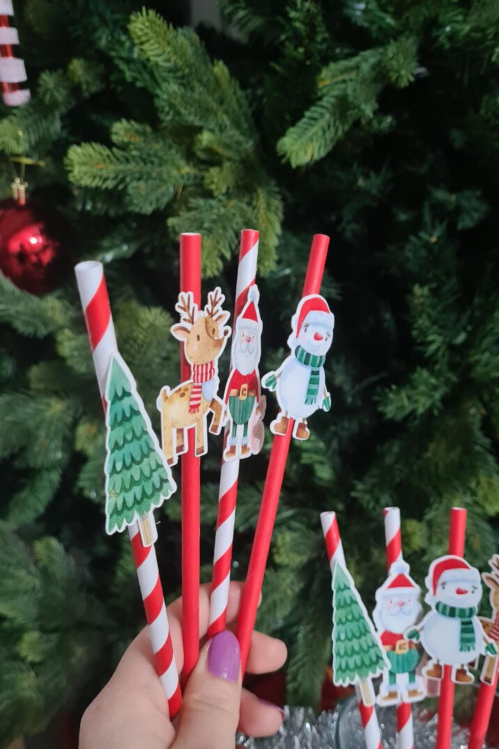 Noel Baba Kardan Adam Süslü Yılbaşı Pipetleri 10lu Paket - 2