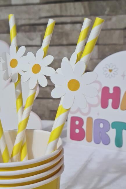Papatya Konsept Pipet Süsleri 10lu Lüks Pipet Paketi - 1