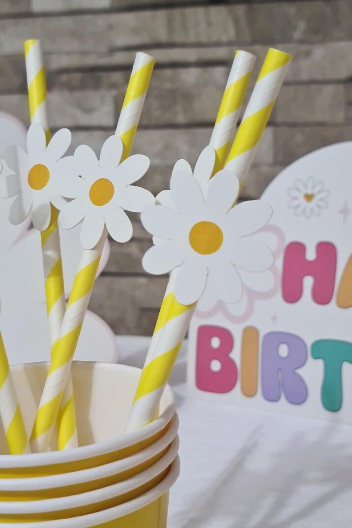 Papatya Konsept Pipet Süsleri 10lu Lüks Pipet Paketi - 1
